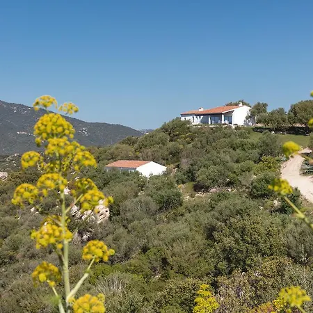 Agriturismo Cabu Abbas Gospodarstwo agroturystyczne Olbia