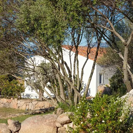 Alloggio per agriturismo Agriturismo Cabu Abbas *